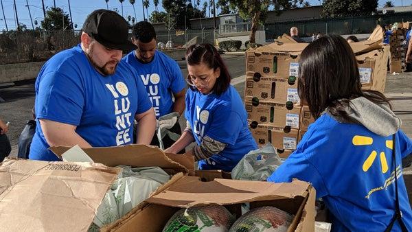Volunteers at food pantry boxes