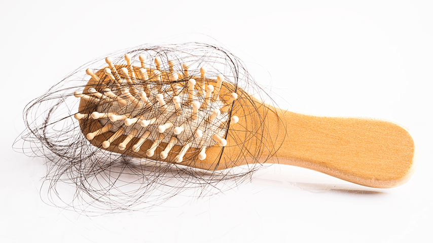 long, dark brown hair in a hairbrush