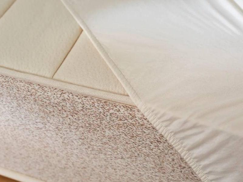 The Birch Mattress Protector