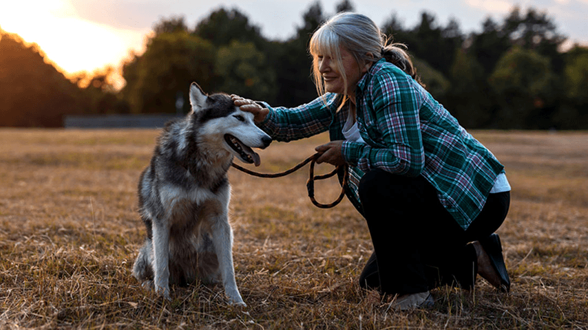woman holding dog's leash, kneeling in field while petting dog's head