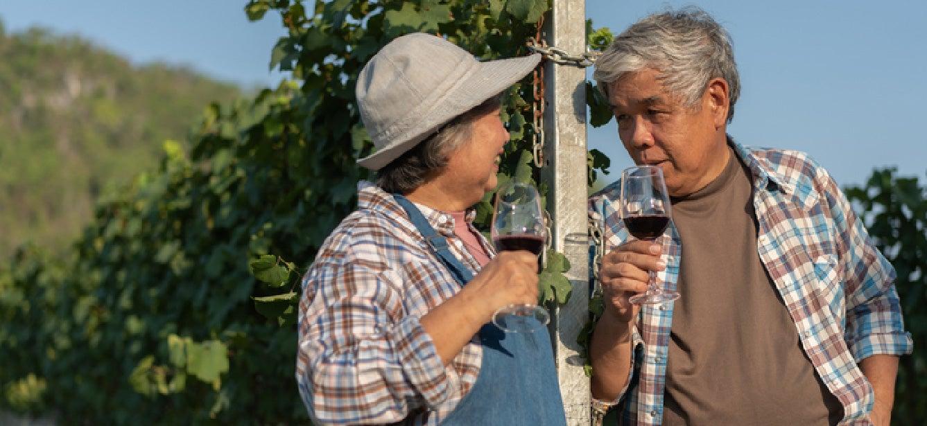 Is Drinking in Moderation Good for Older Adults?